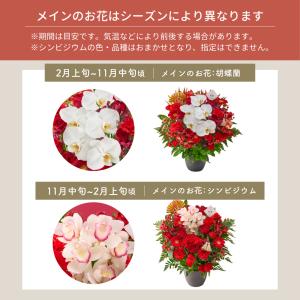 生花アレンジメント フラワーアレンジ 花束 生...の詳細画像5
