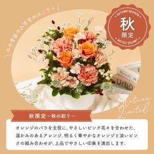 フラワーアレンジ 生花 花束 アレンジメント ...の詳細画像3