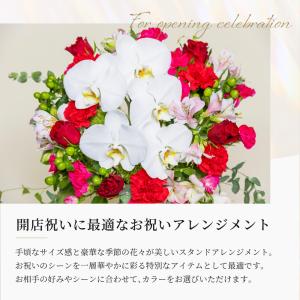 開店祝い用 スタンドバスケットアレンジメント ...の詳細画像1