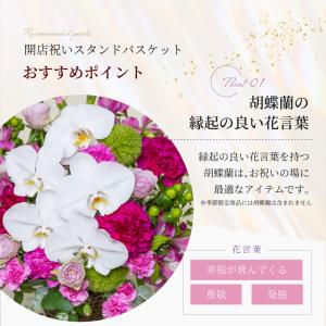 開店祝い用 スタンドバスケットアレンジメント ...の詳細画像2