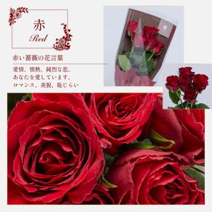 ローズブーケ5本 生花 フラワーギフト 誕生日...の詳細画像4