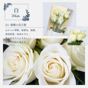 ローズブーケ5本 生花 フラワーギフト 誕生日...の詳細画像5