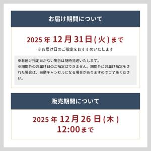 ツリーアレンジメント Xmas 卓上 ツリー ...の詳細画像1