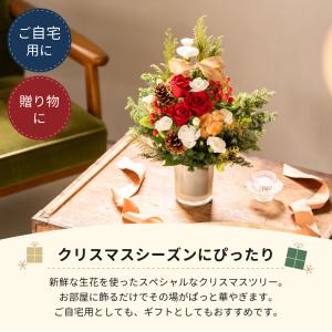 ツリーアレンジメント Xmas 卓上 ツリー ...の詳細画像2