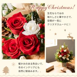 ツリーアレンジメント Xmas 卓上 ツリー ...の詳細画像3