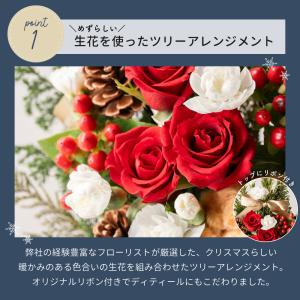 ツリーアレンジメント Xmas 卓上 ツリー ...の詳細画像5