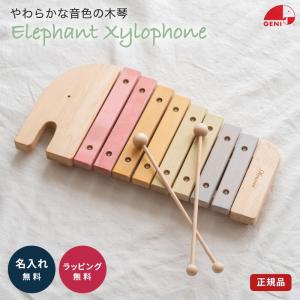 SONORゾノア社グロッケンシュピールNG-30 19音 楽器知育玩具 鉄琴2段 名入れ・ラッピング無料】 鉄琴 おもちゃ 楽器 二段メタルフォン 名
