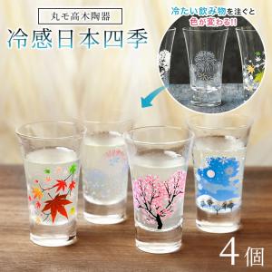冷感日本四季 フリーグラス揃 4個セット 温度で変化 丸モ高木陶器 正規