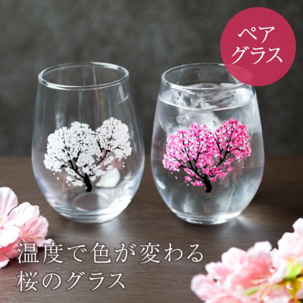 グラス ペア 冷感桜 フリーグラスペアセット 丸モ高木陶器 冷酒グラス アルコールグラス 酒器 ギフ...