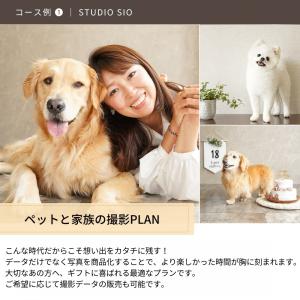 カタログギフト 体験ギフト チケット ペット ...の詳細画像4