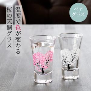 冷感桜 グラス天開ペアセット 酒器 グラス 冷酒グラス 冷酒 日本酒 桜 さくら 春 コップ おしゃれ 2個 引越し 新築 結婚 内祝い ギフト プレゼント