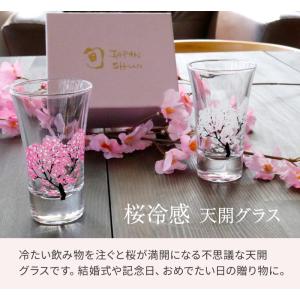 冷感桜 グラス天開ペアセット 酒器 グラス 冷...の詳細画像1