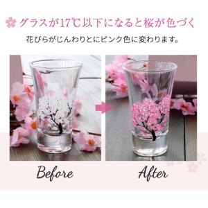 冷感桜 グラス天開ペアセット 酒器 グラス 冷...の詳細画像2