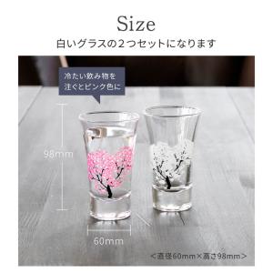 冷感桜 グラス天開ペアセット 酒器 グラス 冷...の詳細画像4