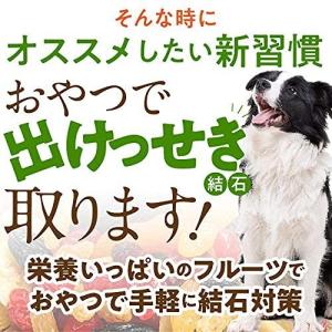 尿路結石おやつ犬の商品一覧 通販 Yahoo ショッピング