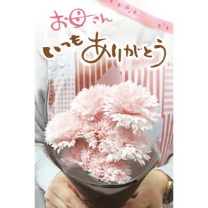 母の日 ギフト 7本 カーネーション ソープフ...の詳細画像3