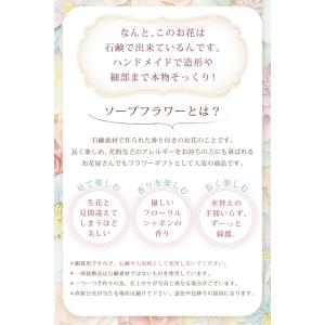 母の日 ギフト 7本 カーネーション ソープフ...の詳細画像5