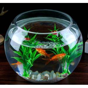 訳ありB級品 15cm 金魚鉢 テラリウム 花...の詳細画像1