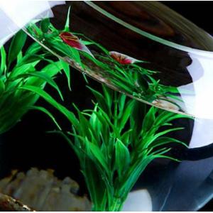 訳ありB級品 15cm 金魚鉢 テラリウム 花...の詳細画像2
