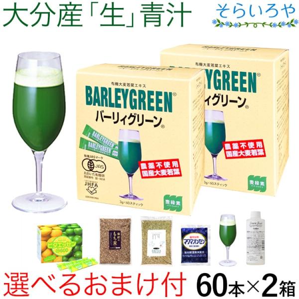 生青汁 バーリィグリーン 選べるおまけ付 60本×2箱 有機大麦若葉 バーリーグリーン