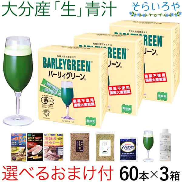 生青汁 バーリィグリーン 選べるおまけ付 60本×3箱 有機大麦若葉 バーリーグリーン