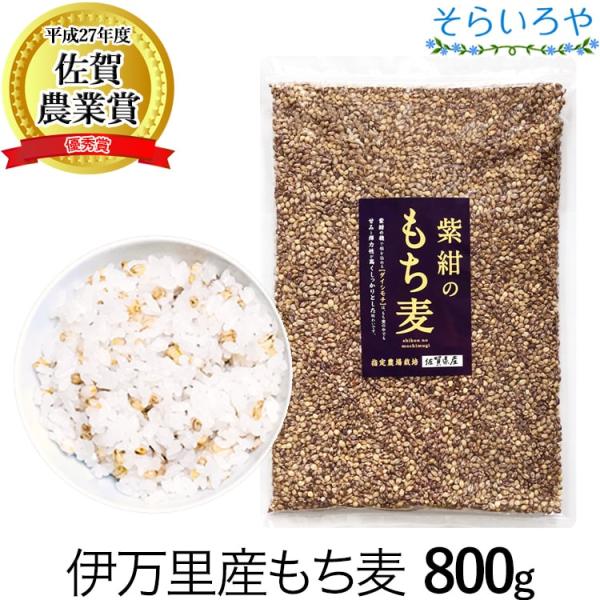 もち麦 佐賀県産 紫紺のもち麦 800g 令和6年産 紫もち麦 国産ダイシモチ100% 無添加 ダイ...