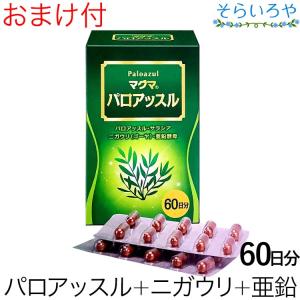 マグマ パロアッスル 120カプセルの買取情報