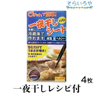 ピチット 一夜干しシート 4枚入 オカモト ピチットシート （レギュラータイプ）