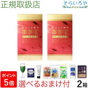 棗参宝 そうじんほう 100粒×2箱  棗（なつめ）の鉄分＋阿膠（コラーゲン） 妊活 徳潤