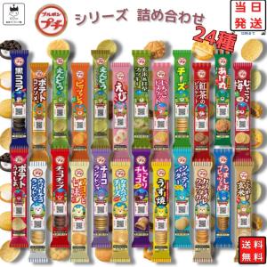 お菓子 詰め合わせ 子供 個包装 ブルボン プチ プチシリーズ 24種類 駄菓子 スナック菓子