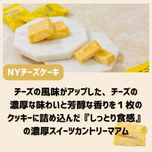 ブラウニー 詰め合わせ カントリーマアム 不二...の詳細画像3