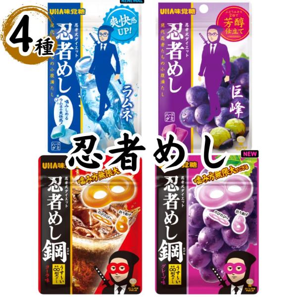 お菓子 詰め合わせ UHA味覚糖 忍者メシ 5種セット 各1袋 グミ スイーツ 駄菓子 まとめ買い