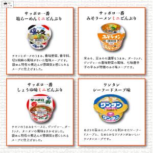 カップ麺 カップラーメン ポイント消化 インス...の詳細画像3