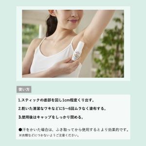 日本製 ソフトストーンW 20g デオナチュレ...の詳細画像1