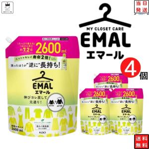 エマール リフレッシュグリーン おしゃれ着用洗濯洗剤 2600ml : 亀山