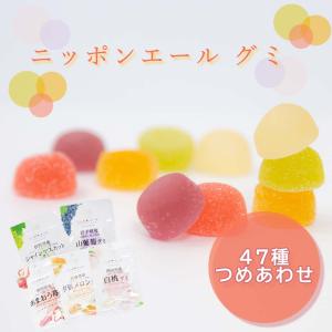 お菓子 詰め合わせ 子供 ギフト ニッポンエール グミ 全国 47種類 各1袋 ジェリービーンズ