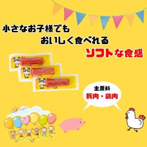 おつまみセット おつまみ珍味 おやつカルパス ...の詳細画像4