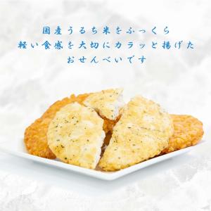 おせんべい せんべい 煎餅 ギフト お菓子 銀...の詳細画像4