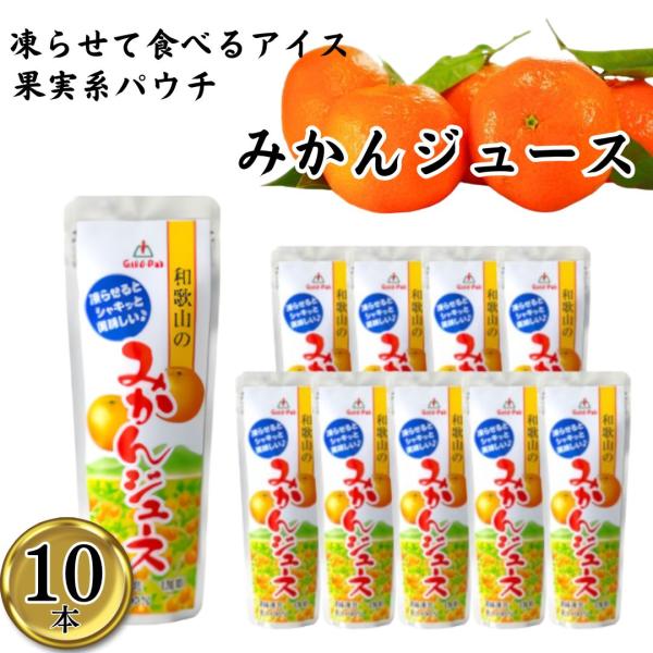 シャーベット ジェラート ジュース 詰め合わせ 和歌山のみかんジュース 10本 ポイント消化 利用