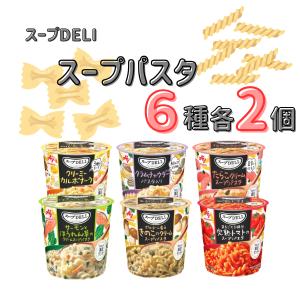 インスタント食品まとめ売り　12箱　カレーメシ　スープDELI他 日清カレーメシ カレーメシ まとめ買い 箱買い レトルト 食品