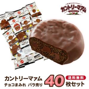 お菓子 詰め合わせ 個包装 駄菓子 不二家 チョコまみれ カントリーマアム 40枚 チョコスナック