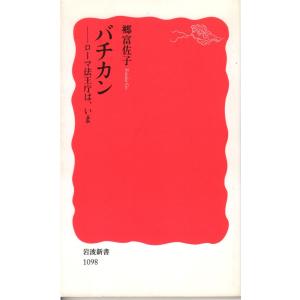 グローバル恐慌 金融暴走時代の果てに 岩波新書新赤版1168 : ShopSSF