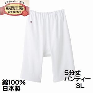 2枚組 3L グンゼ 婦人 肌着 5分丈パンティ...の商品画像