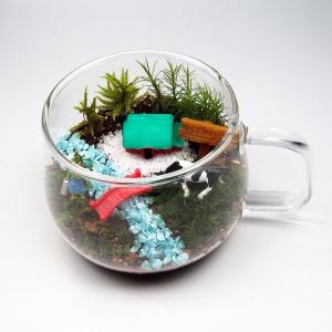 農場 苔テラリウム 手作りキット ティーカップ...の詳細画像1
