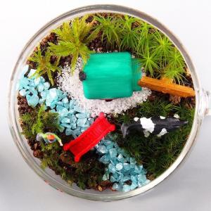 農場 苔テラリウム 手作りキット ティーカップ...の詳細画像2