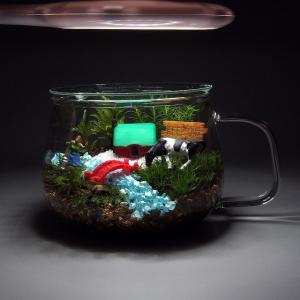 農場 苔テラリウム 手作りキット ティーカップ...の詳細画像3