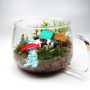 農場 苔テラリウム 手作りキット ティーカップ...の詳細画像4