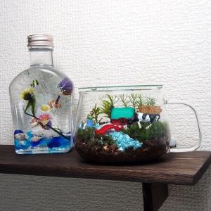 農場 苔テラリウム 手作りキット ティーカップ...の詳細画像5