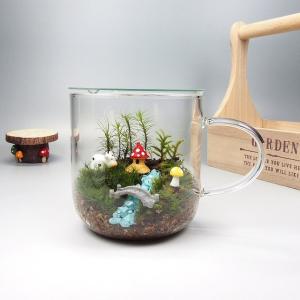 きのこの家 苔テラリウム 手作りキット マグカップ 観葉植物 ミニ テラリウム 苔 コケ 苔リウム 園芸 ガーデニング インテリア 苔盆栽 癒し moss 初心者｜shopsutou