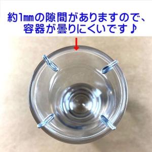 コウヤノマンネングサ 苔テラリウム 手作りキッ...の詳細画像4